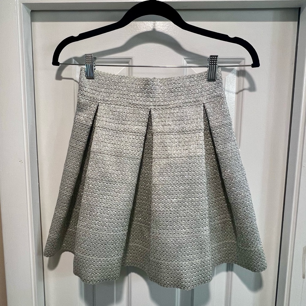 Elegant Gray Women's Skirt